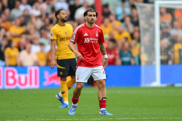 有着丰富的 有着丰富的